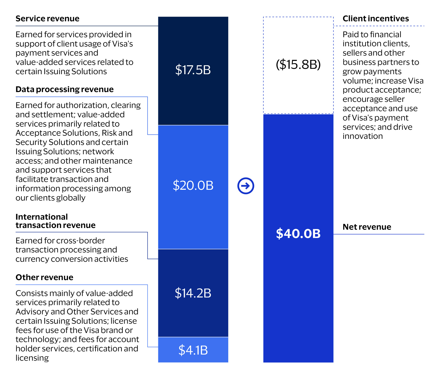 Visa Revenue Details