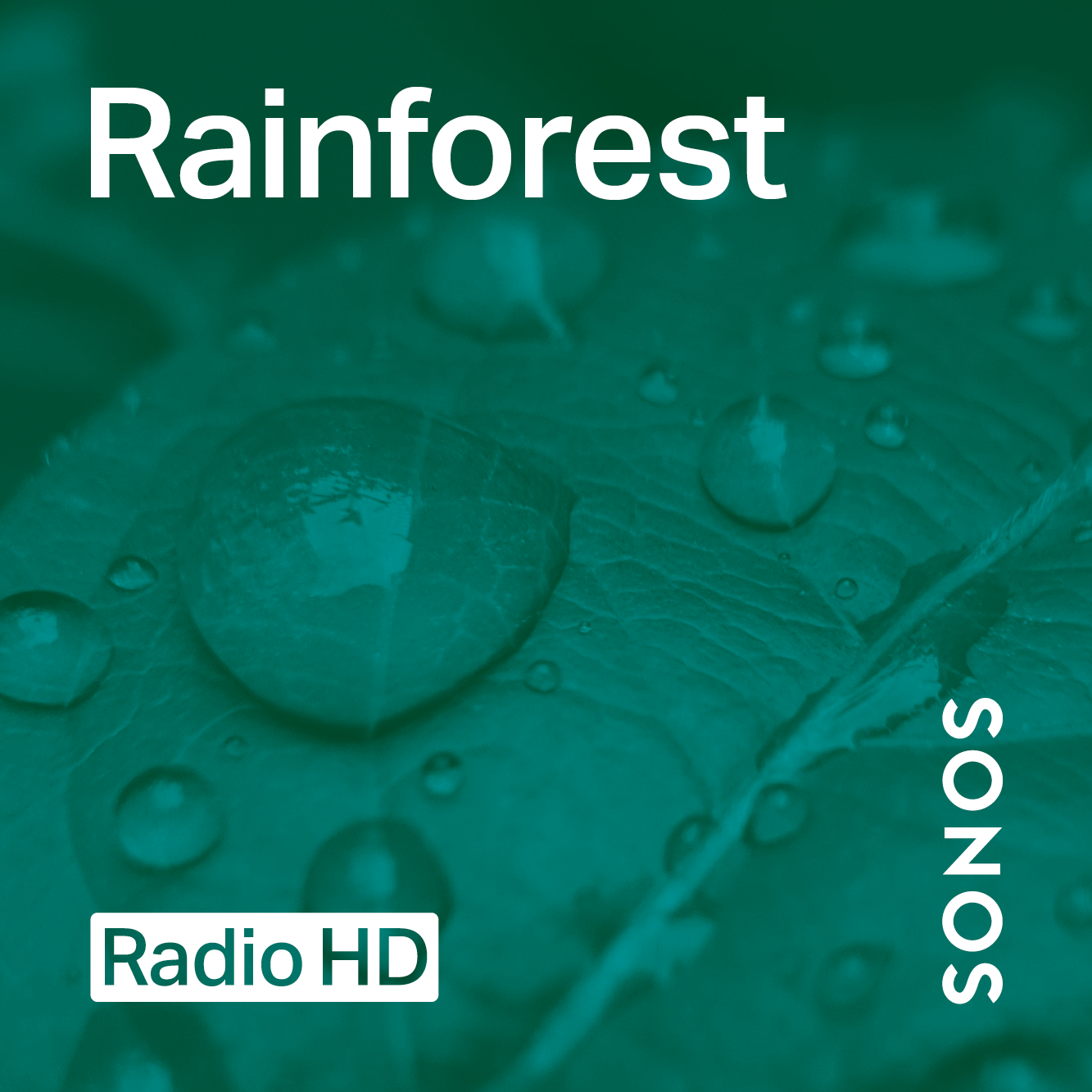 Rainforest Sounds Radio Cover
